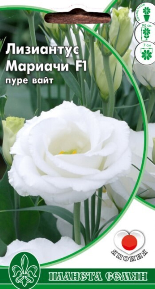 Лизиантус (эустома) F1 Мариачи пуре вайт
