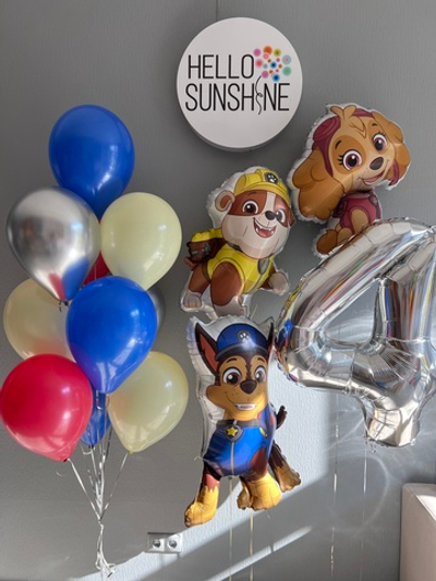 Набор шаров Щенки из патруля