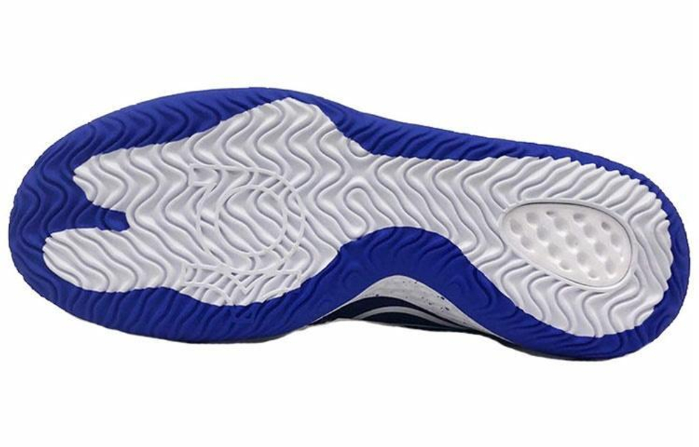 Кроссовки Nike Kd Trey 5 Viii Ep