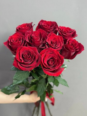 Букет из 9 красных роз сорта "Эксплорер" под ленту (Эквадор 60 см)