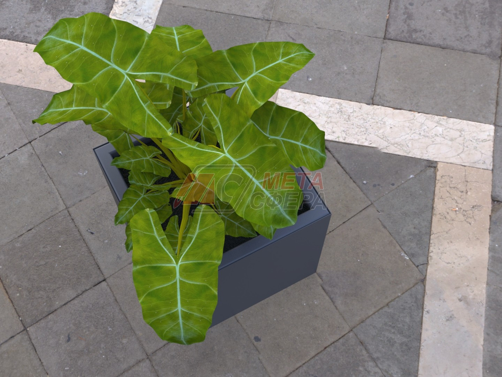 Вазон Куб М