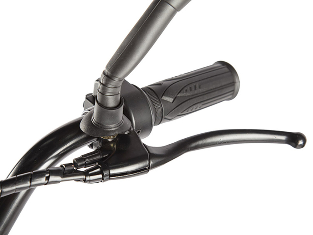 Электровелосипед GREEN CITY e-ALFA LUX