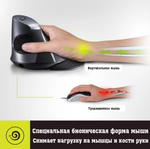 Мышь Вертикальная беспроводная Deluxe M618