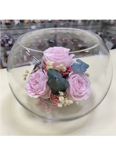 Натуральные пионы в стекле, вакуум