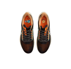 Мужские кроссовки Nike Air Zoom Pegasus 39 'Black White Orange' DX6039-071
