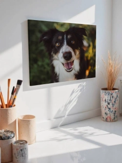 Картина на стену 40 X 50 Собака
