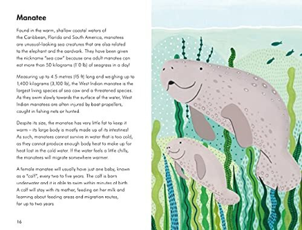 Ladybird Book: Sea Creatures 