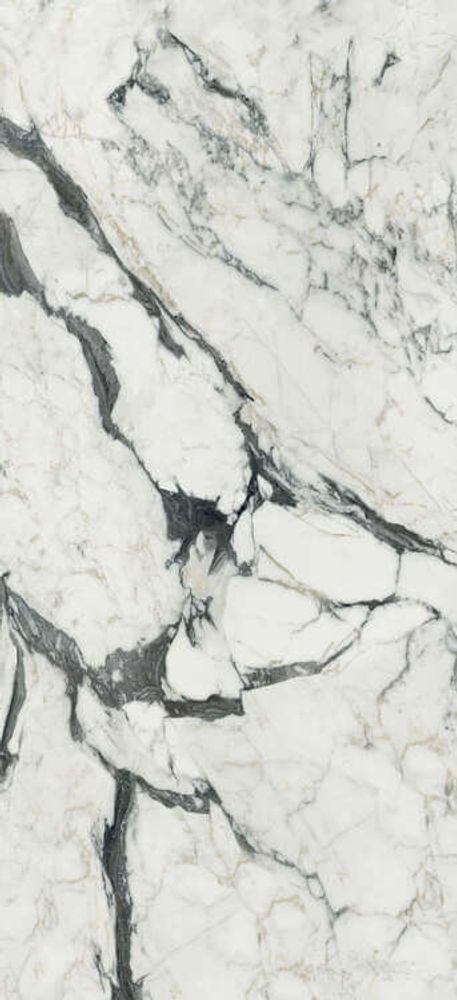 Rex Ceramiche Les Bijoux de Rex Calacatta Altissimo Glossy 60x120