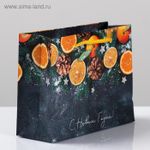 Пакет ламинированный горизонтальный «Мандарины», S 5.5 × 15 × 12 см