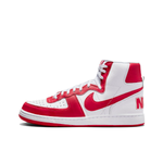 Кроссовки Nike Terminator High 'St. John's' FJ4454-100