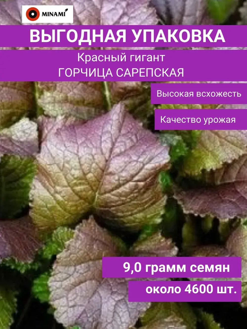 Горчица сарептская Красный гигант