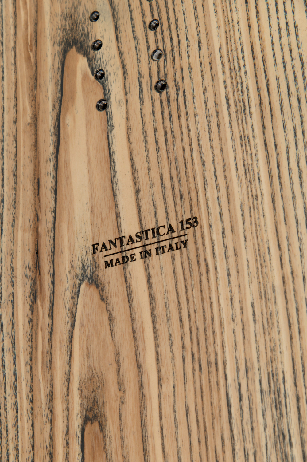 WILD x SANDY SHAPES Fantastica