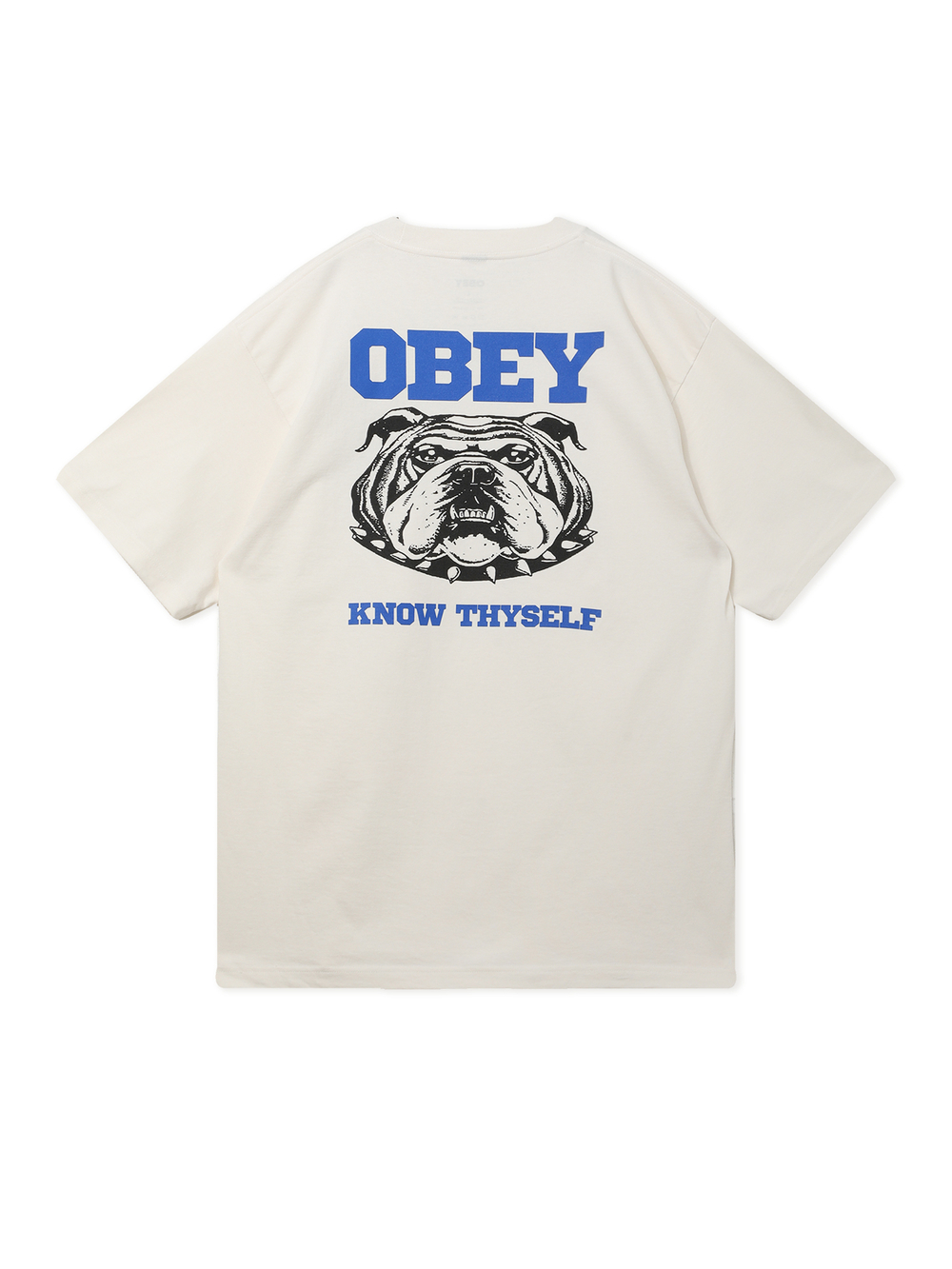 Мужская Футболка Obey Know Thyself