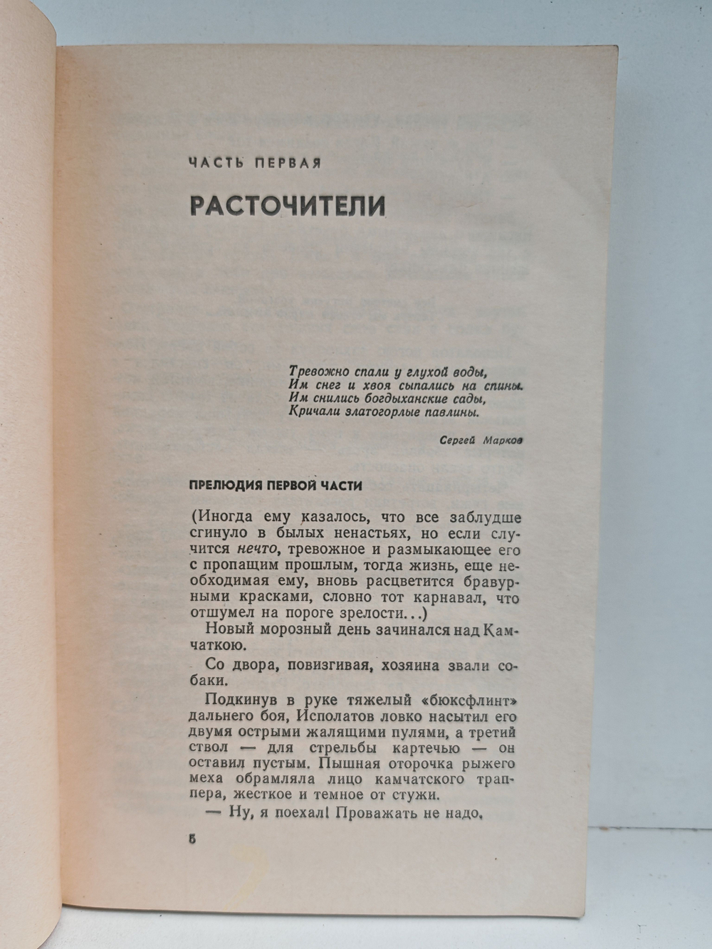 Богатство: Исторический роман