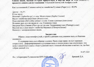 Каштан. Пыльцевой анализ 2025