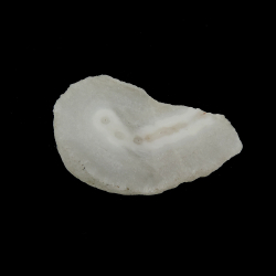 Кварцевое солнце (срез сталактита) асс.