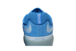 Кроссовки Nike Sb Ishod