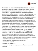 Земляника барон Солемахер