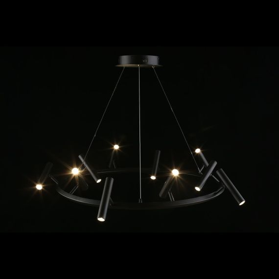 Подвесная светодиодная люстра Aployt Honor APL.067.03.50