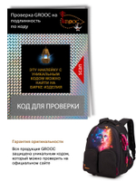 Ранец GROOC 16-14 + пенал + мешок + сумка-пенал