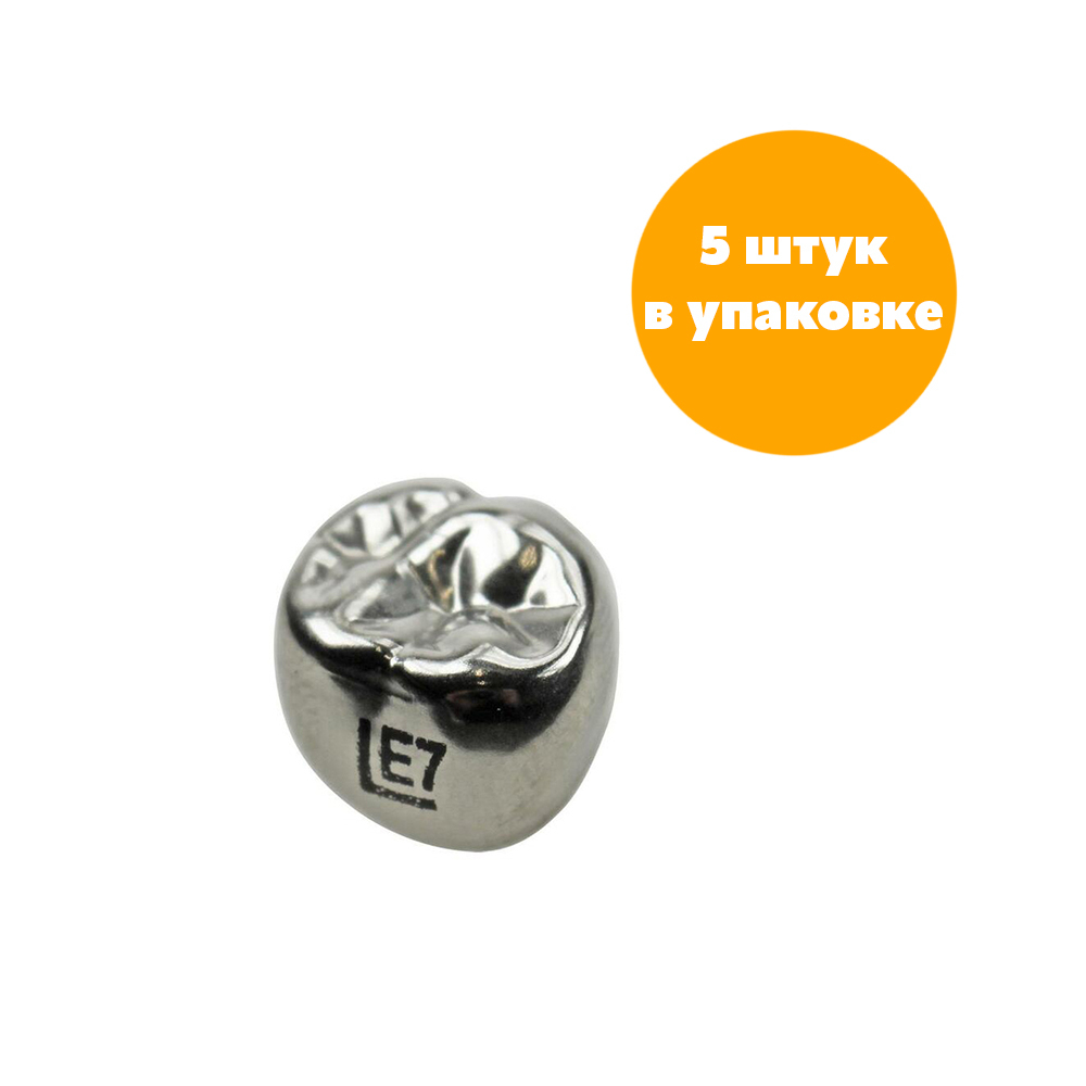 Второй верхний левый моляр, размер 7 (E-UL-7)