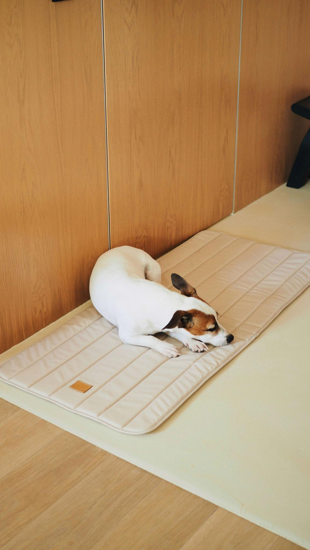 Перевозка для автомобиля Пони авто-доми Бежевый