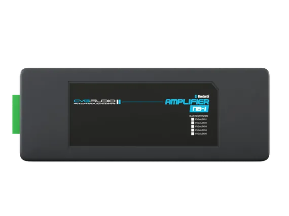 CVGAUDIO NB-1 стереофонический двухканальный цифровой усилитель D-класса