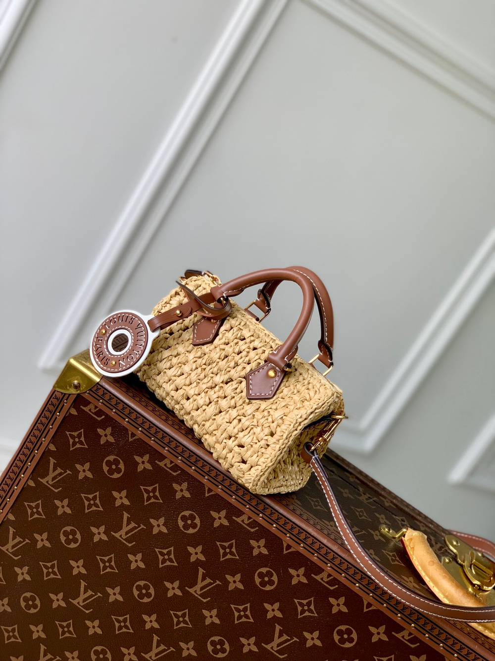 Louis Vuitton Nano Speedy