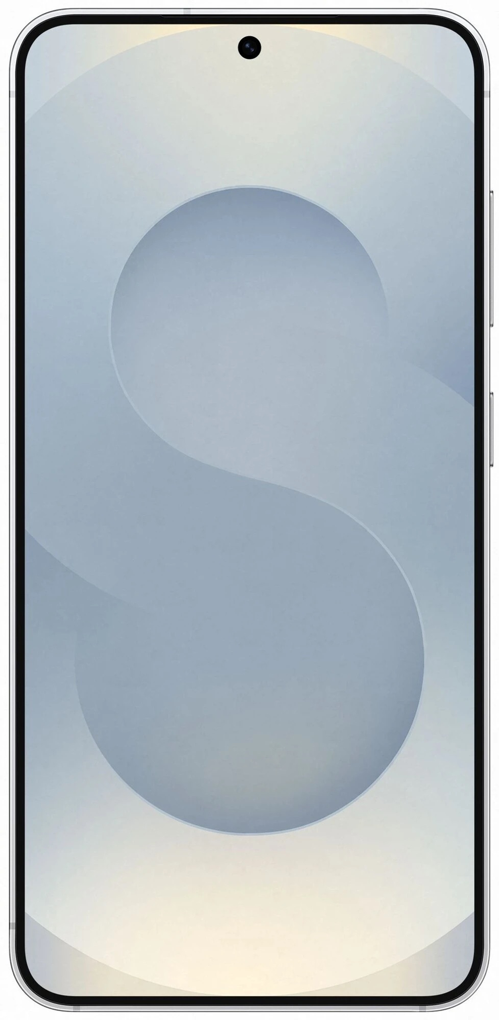 Samsung Galaxy S25 12/256GB