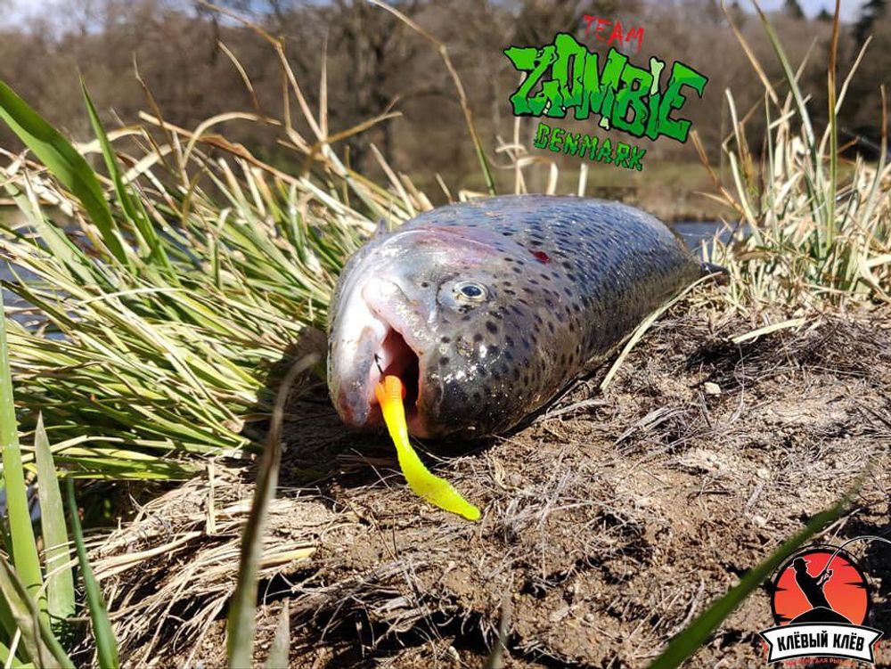 Силиконовая приманка ZOMBIE Z-Worm #22