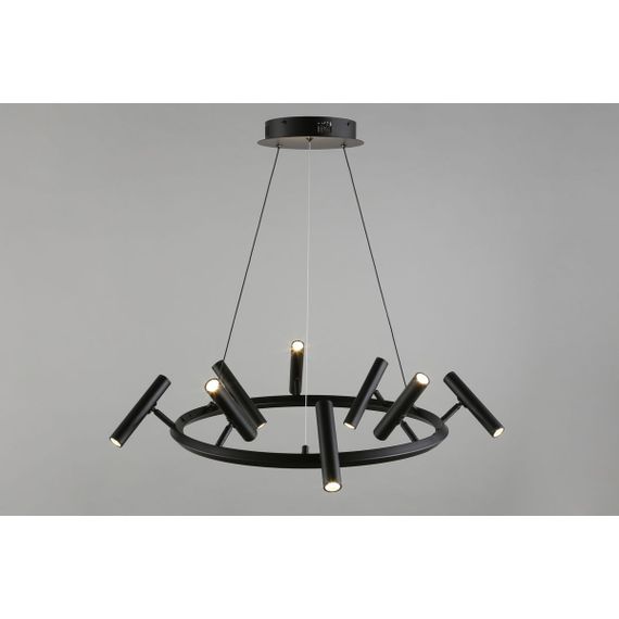 Подвесная светодиодная люстра Aployt Honor APL.067.03.40