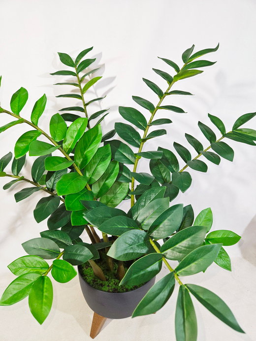 Замиокулькас искусственный 75см в темном кашпо на ножках