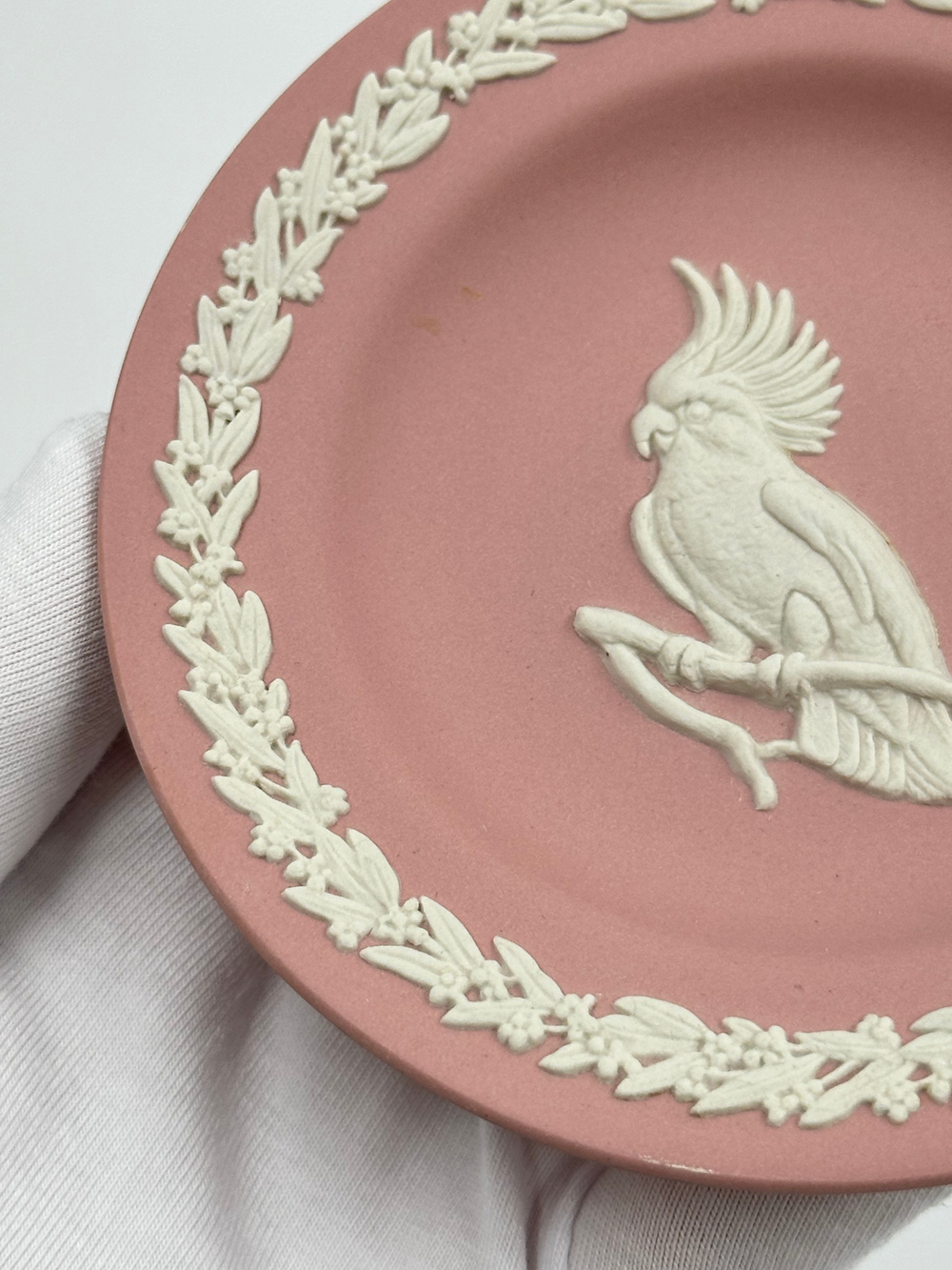 Тарелка декоративная Wedgwood «Попугай Какаду» розовая