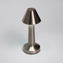 Настольная лампа декоративная Escada EVO 10256/L LED