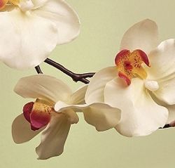 Стеновая панель 2800*610*6 (SP-102 глянец)