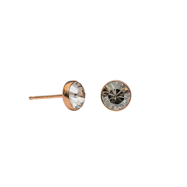 Серьги-пусеты Fiore Luna Crystal Silver Shade SWE297 CSS RG
