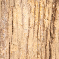 Раковина напольная из окаменелого дерева ODN-01499 (68*55*90 см)