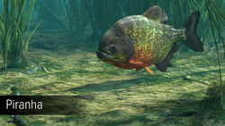 Ultimate Fishing Simulator - Amazon River (для ПК, цифровой код доступа)