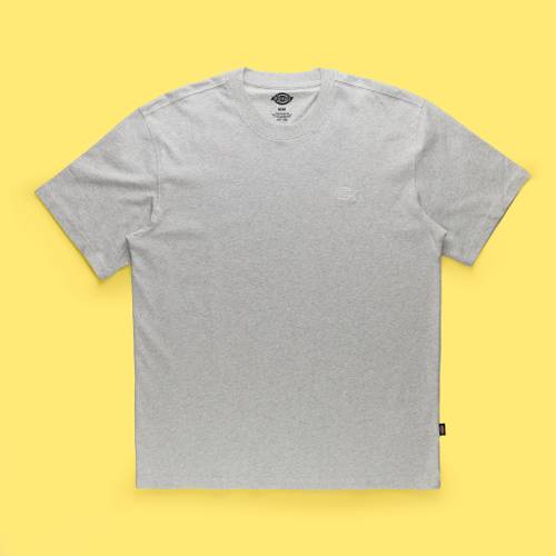 Футболка мужская Dickies Summerdale Tee