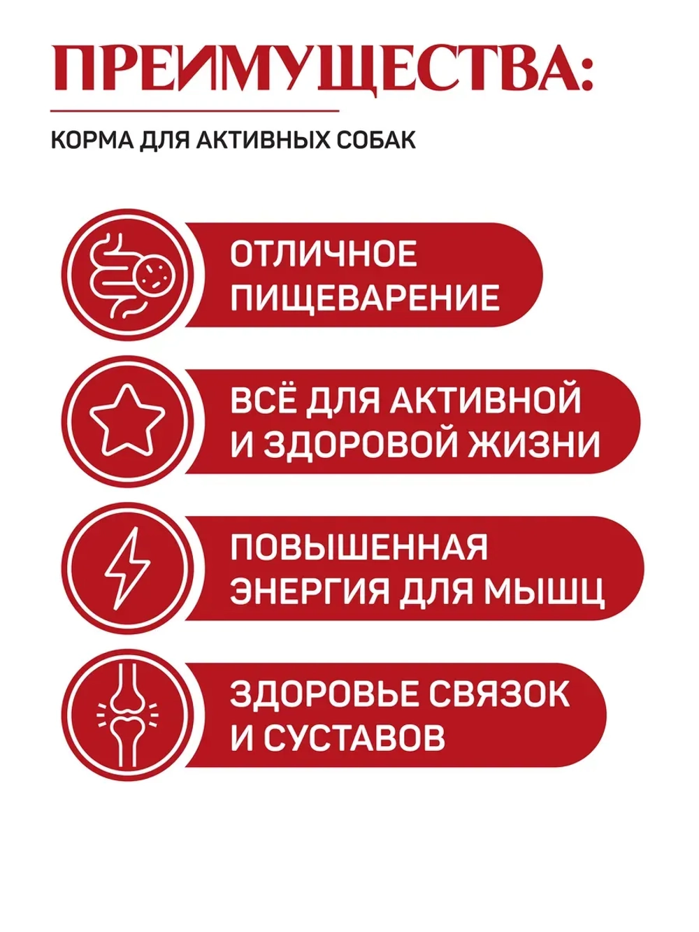Classic корм для активных собак, говядина 2,5 кг