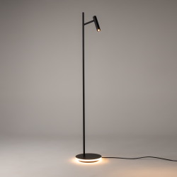 Напольный светильник (торшер) Maytoni Z010FL-L8B3K