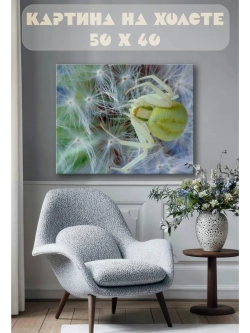 Картина на стену 40 X 50 Паук