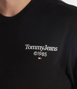 Худи Tommy Jeans - черный(DM0DM18609)