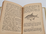 "Рыболовный спорт". Карла Гейнца. 1931 г.