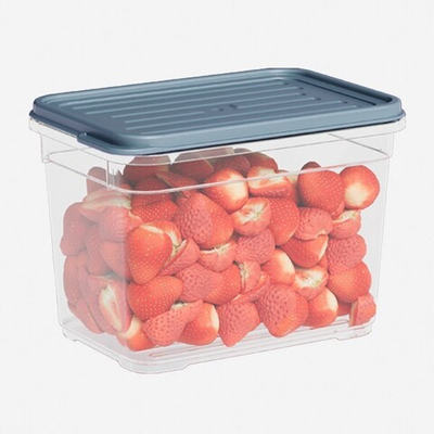 Лоток прозрачный с крышкой, цвет серый 950 мл