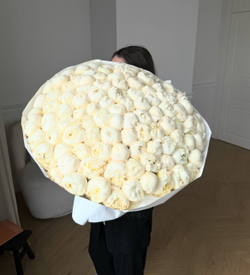 101 белый пион