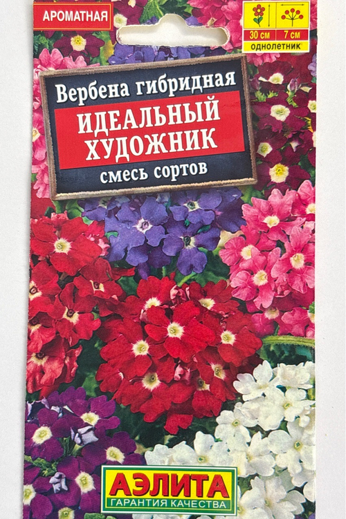 Вербена Идеальный художник, смесь 40 шт СМЦ-367