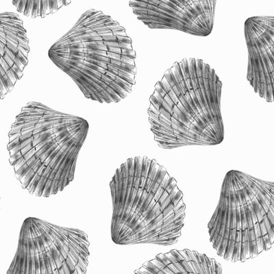 Паттерн  ракушки