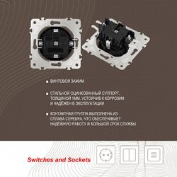 Розетка с заземлением и со шторкой, без рамки Arte Milano am-202 202.40-1.black