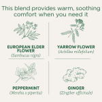 Traditional Medicinals, Organic Herbal Cold Care™, бузина со специями, без кофеина, 16 чайных пакетиков, 28 г (0,99 унции)